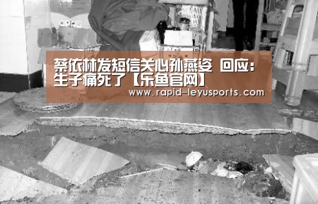 乐鱼电竞官网