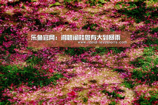 中国站入口