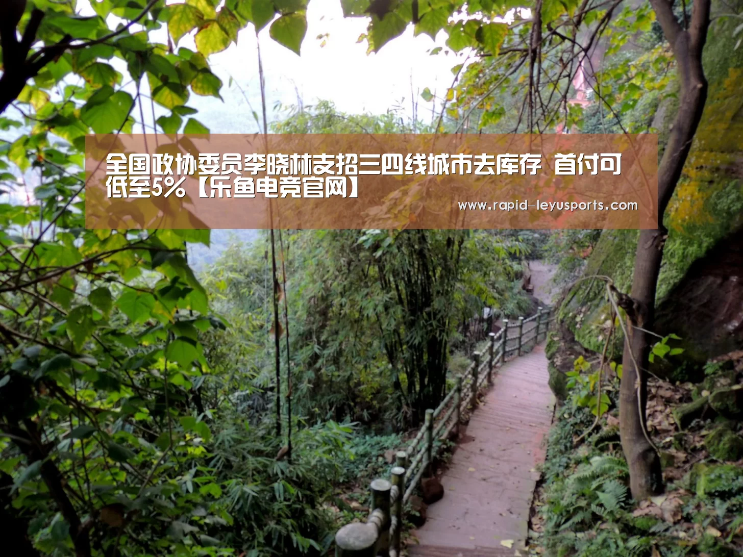 全国政协委员李晓林支招三四线城市去库存 
