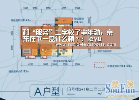 和“服务”二字较了半年劲，京东在下一盘什么棋？：leyu