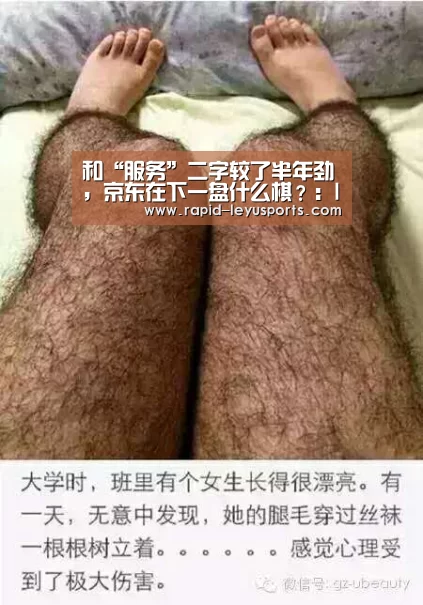 乐鱼电竞官网