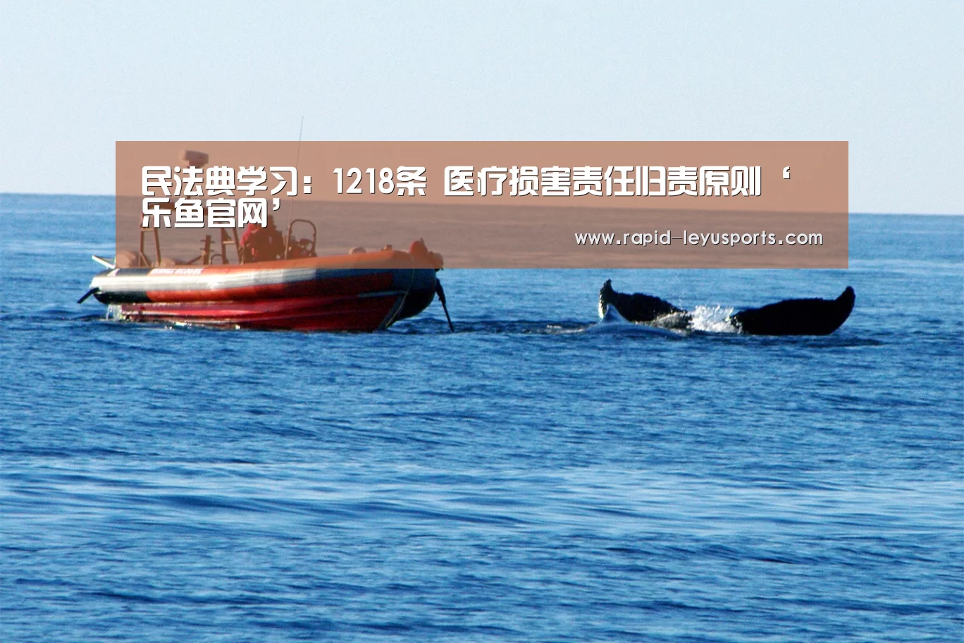 民法典学习:1218条 医疗损害责任归责原则‘乐鱼官网’(图4) 乐鱼官网