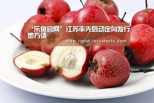 ‘乐鱼官网’江苏率先启动定向发行地方债