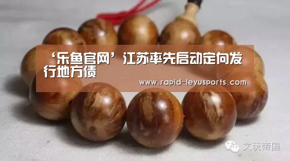 ‘乐鱼官网’江苏率先启动定向发行地方债(图3) 乐鱼官网